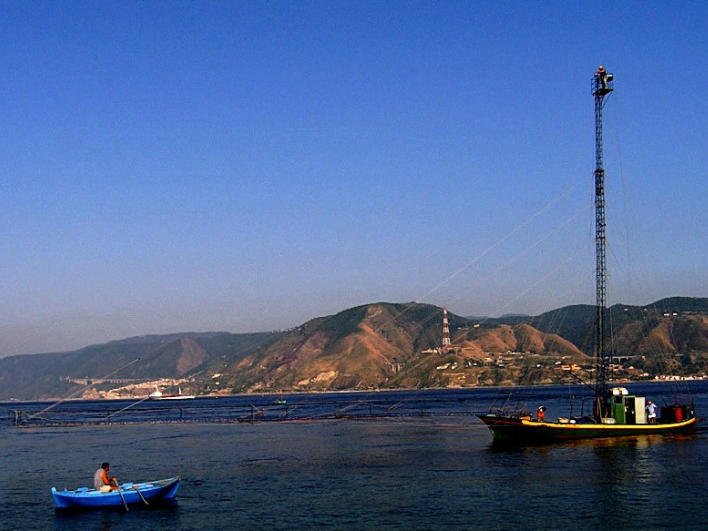 Pescare in Calabria